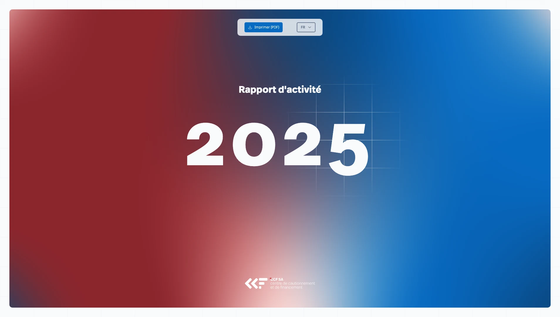 Rapport d'activité du Centre de Cautionnement et de Financement